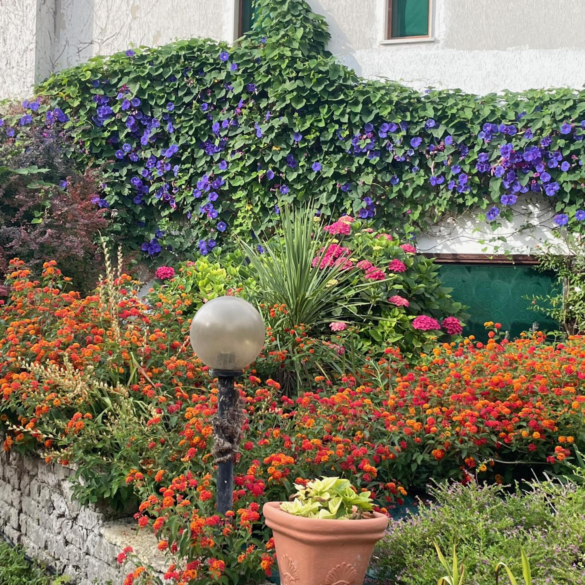 B&B Villa Sans Souci Civitavecchia Eksteriør bilde