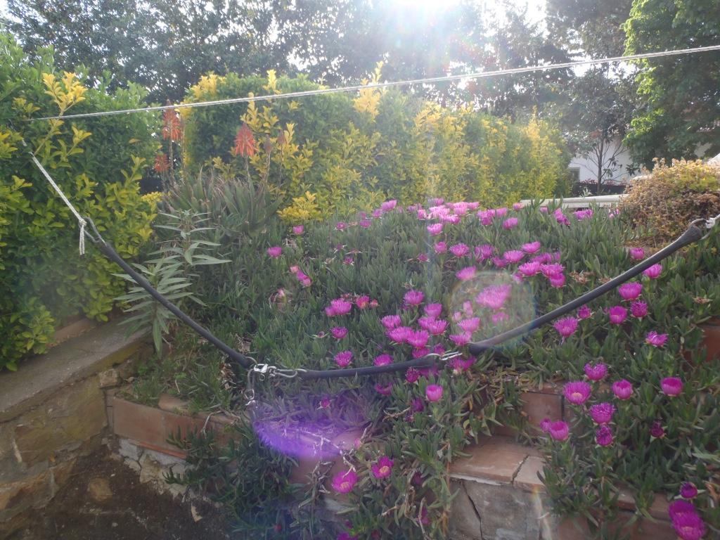 B&B Villa Sans Souci Civitavecchia Eksteriør bilde