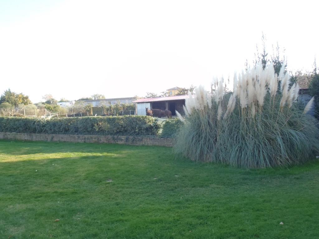 B&B Villa Sans Souci Civitavecchia Eksteriør bilde
